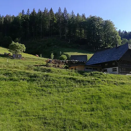 Glashuette Sankt Margen
